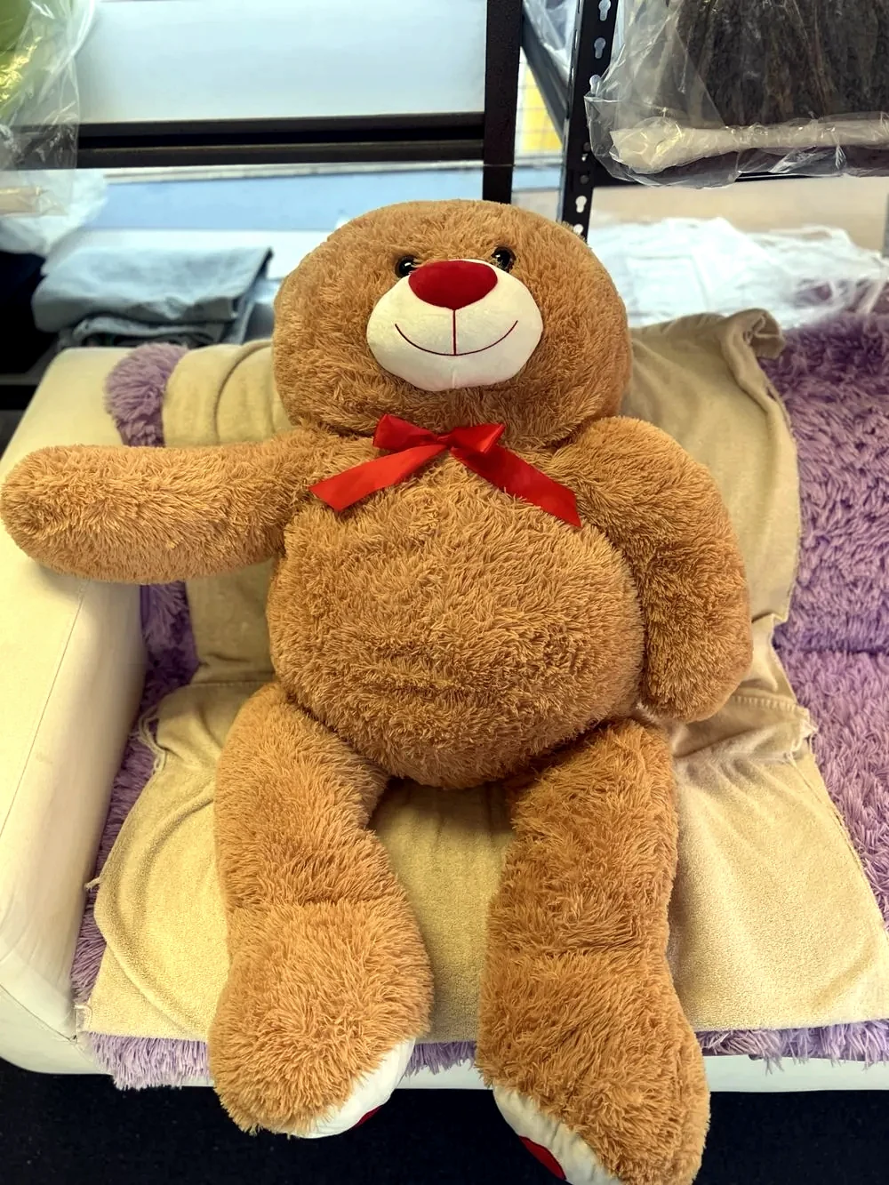 Teddy bear cleaned at Royal Oak Drycleaners in Burnaby